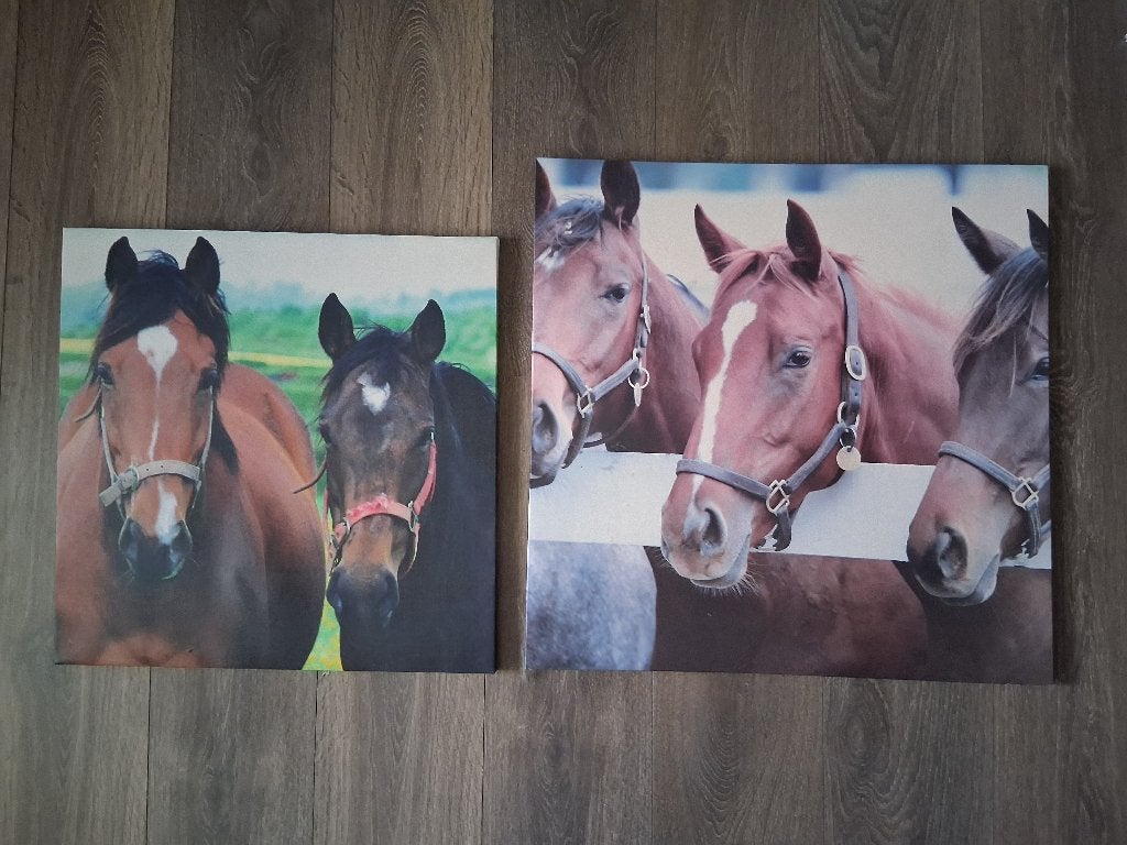 Canvasdoeken met paarden, Kinderen en Baby's, Ophalen of Verzenden, Gebruikt, Wanddecoratie