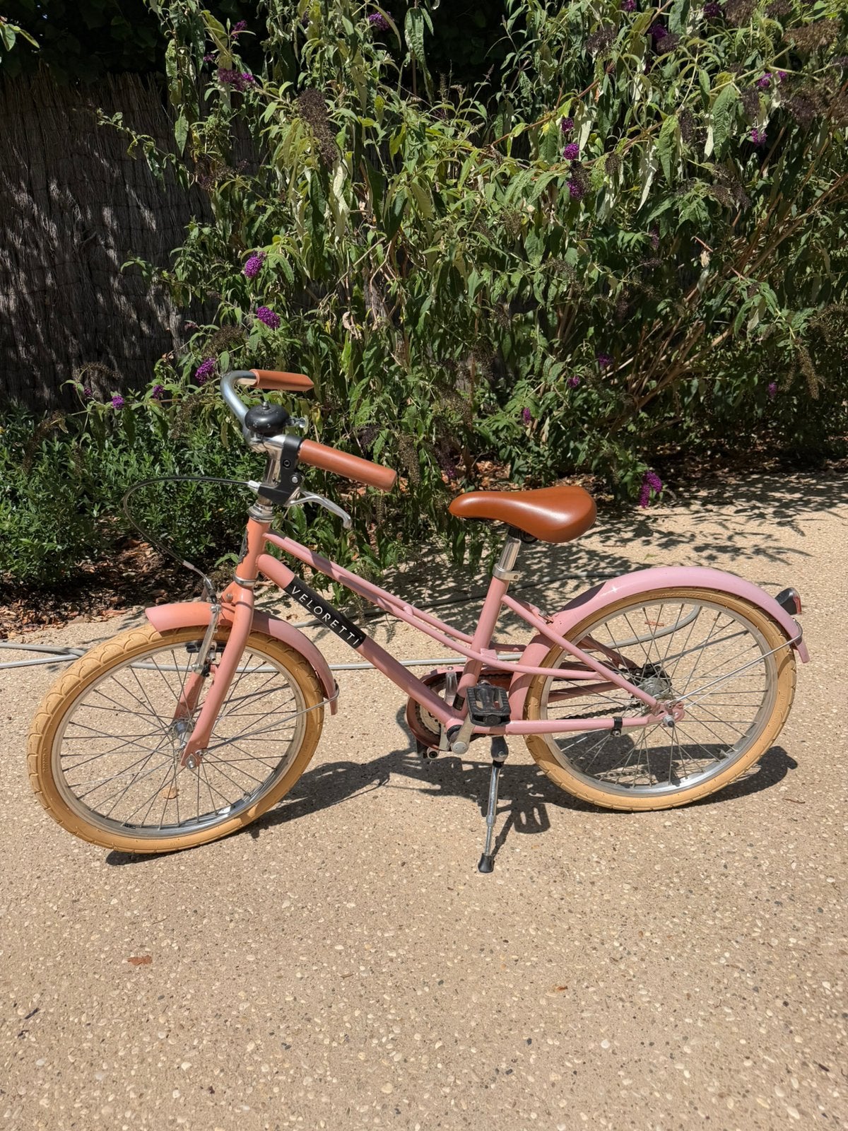 Veloretti Junior, Ophalen, Gebruikt, Terugtraprem, 20 inch
