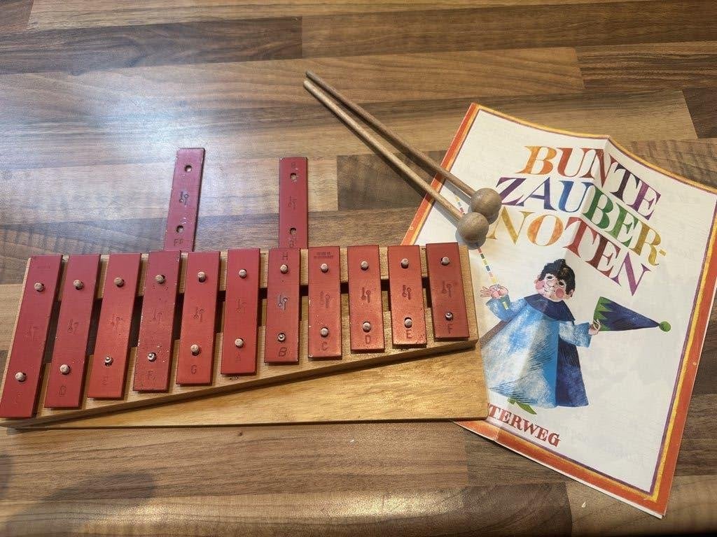 kleine xylofoon, zoals je vroeger op muziekles gebruikte, Muziek en Instrumenten, Ophalen of Verzenden, Gebruikt