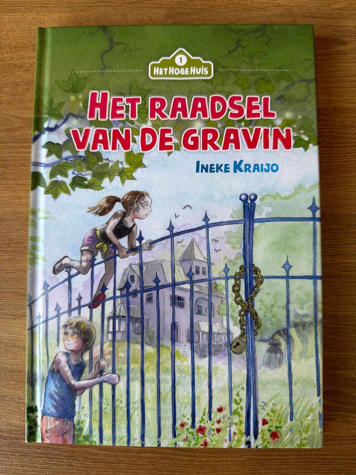 Het Raadsel van de Gravin, leesboek, Ophalen of Verzenden, Zo goed als nieuw, Fictie algemeen