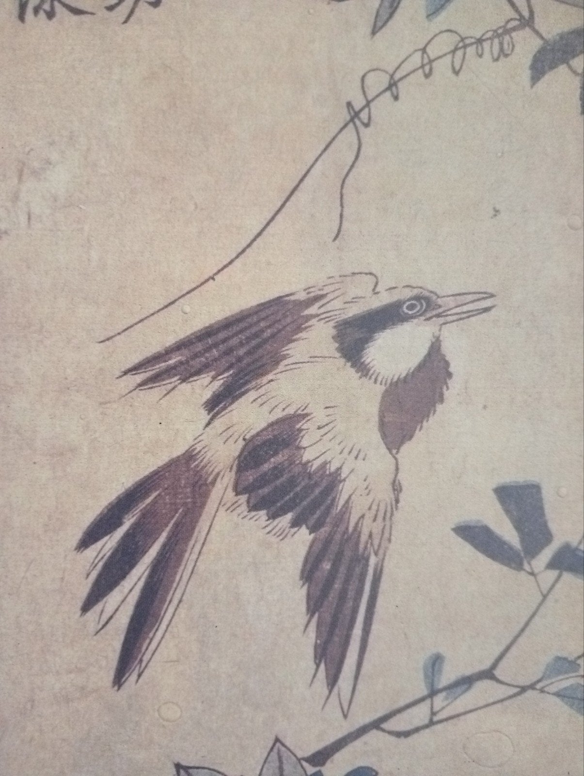 Vogel Japan offset prent 20e eeuw, Antiek en Kunst, Ophalen of Verzenden