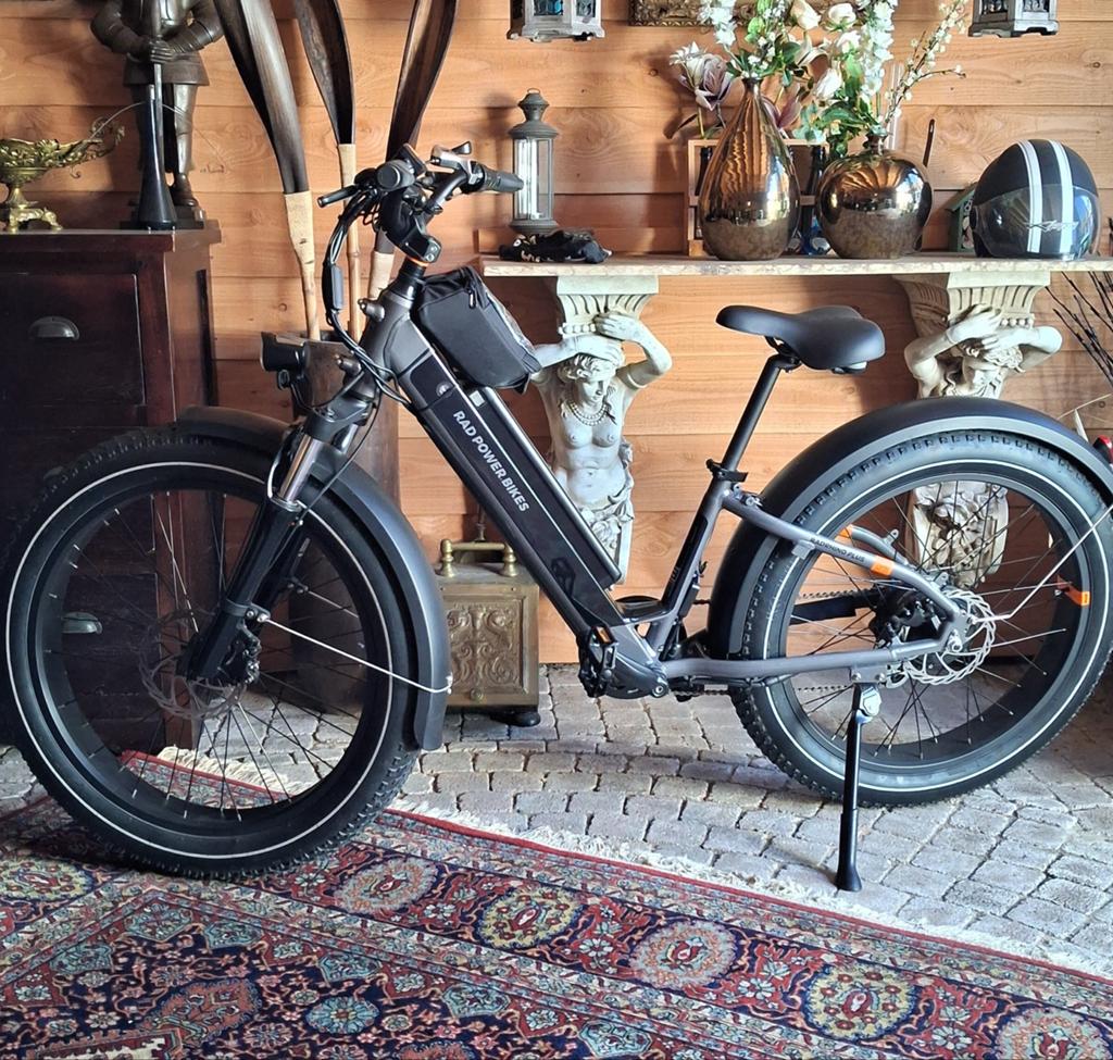 RadRhino 6 Plus Power Bike - NIEUWSTAAT, Zo goed als nieuw, 51 tot 55 cm, 50 km per accu of meer, Ophalen