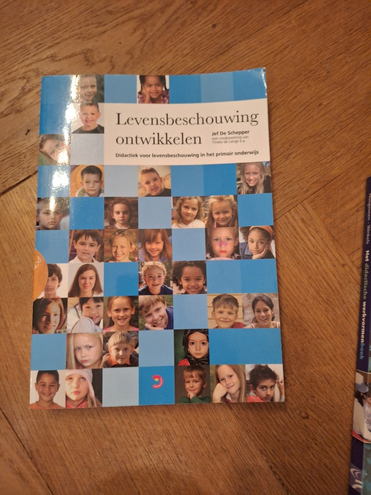 Levensbeschouwing ontwikkelen - Didactiek primair onderwijs, Gelezen, Godsdienst en Levensbeschouwin, Jef De Schepper, Ophalen of Verzenden