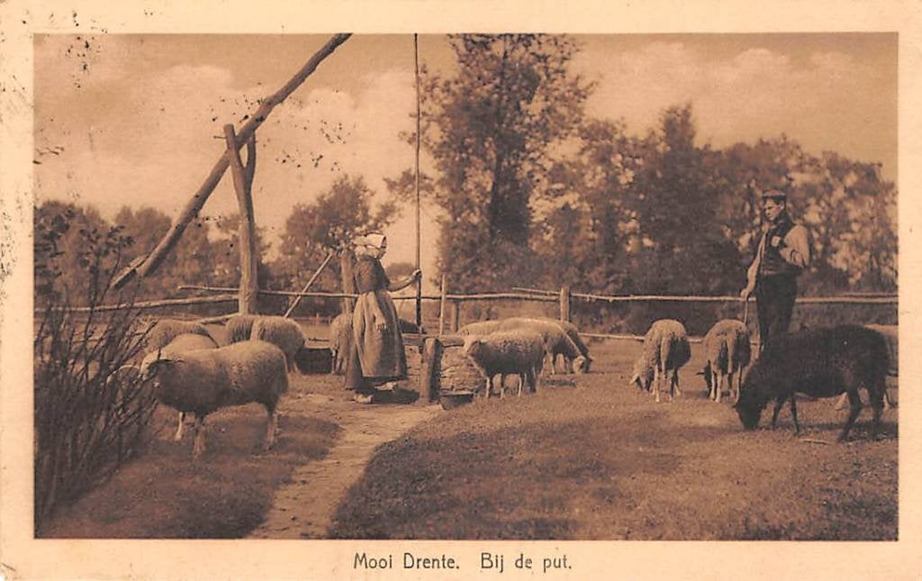 Mooi Drenthe Bij de Put Boer en Boerin Kudde Schapen 1930, Verzenden, 1920 tot 1940, Gelopen, Drenthe