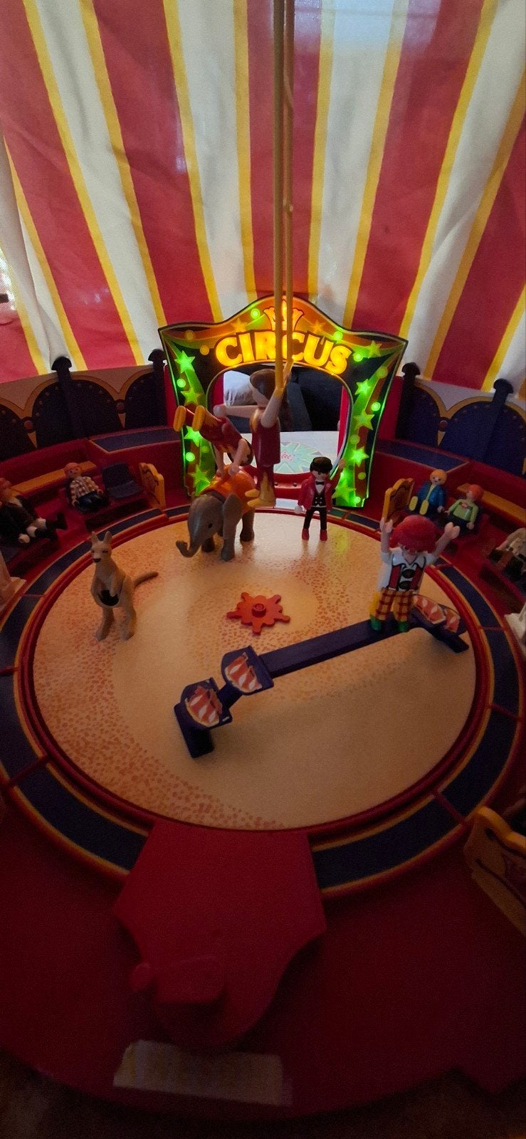 Playmobil Circus met accessoires en figuren, Ophalen of Verzenden, Gebruikt, Jongen of Meisje