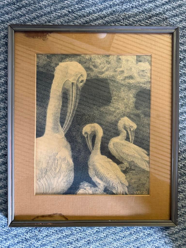 Vintage Tekening Pelikanen - Gesigneerd 'WA '35', Antiek en Kunst, Ophalen