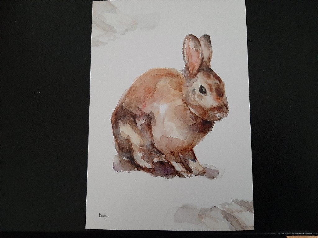 Michelle Dujardin, natuur, 20 ansichtkaarten,zie foto's,, Verzenden, 1980 tot heden, Ongelopen, Natuur