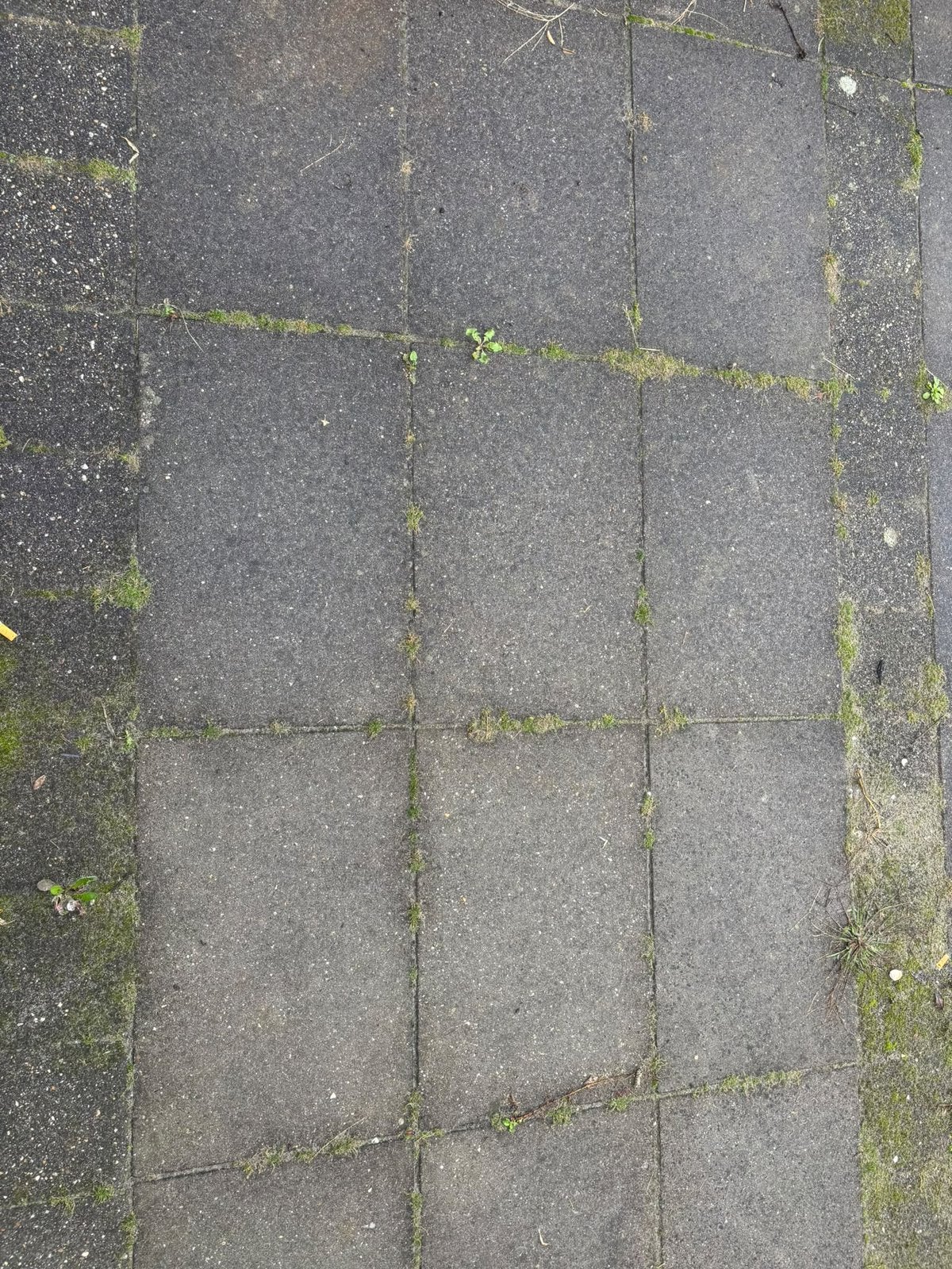 Tuintegels GRATIS betonnen tegels 60x40, Ophalen, Gebruikt, Beton, Terrastegels
