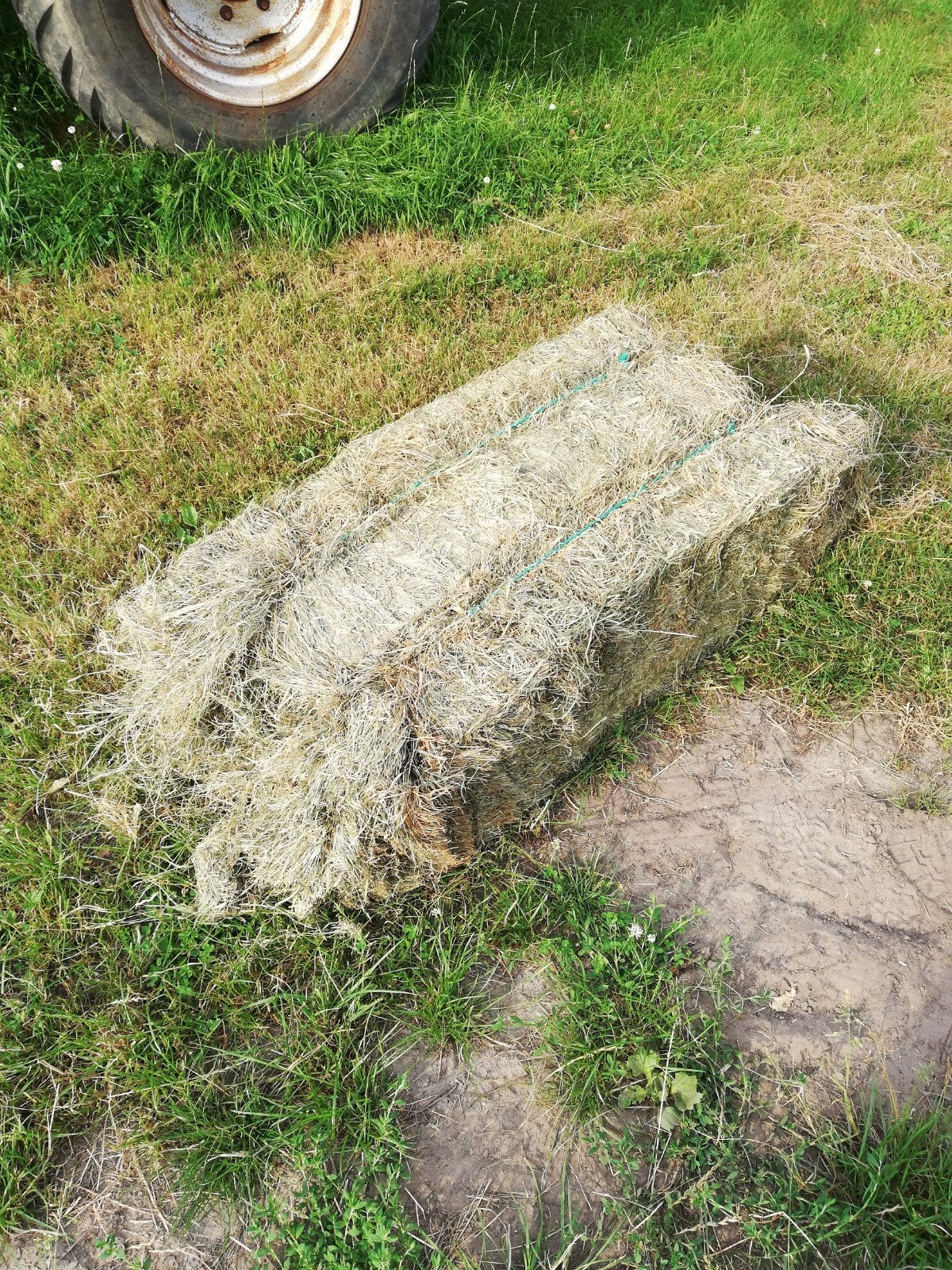Hooibalen te koop - Vers en van goede kwaliteit, Dieren en Toebehoren, Ophalen, Vee