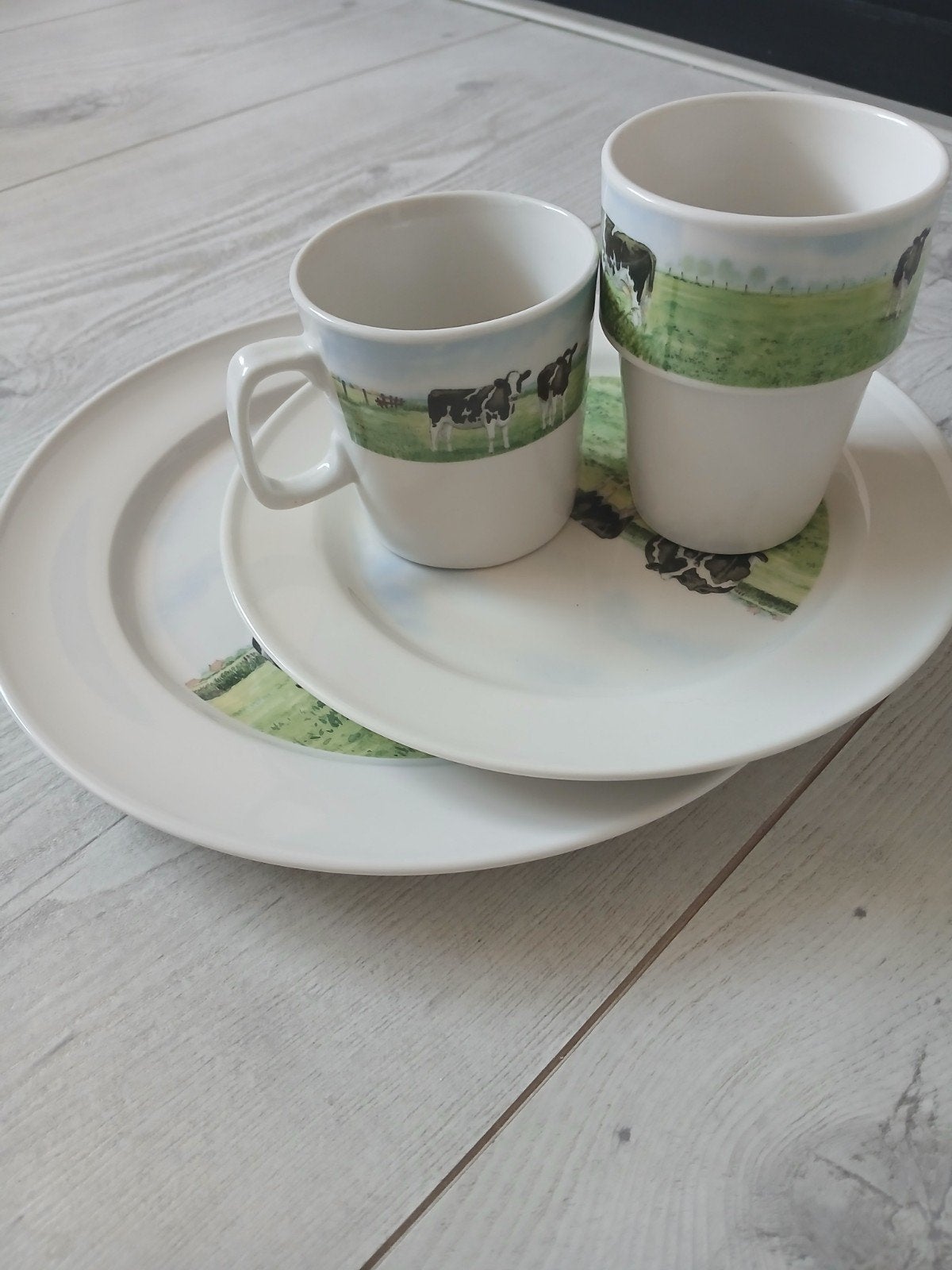 Servies met koeienprint - Wiebes vd Zee, Ophalen, Keramiek, Overige stijlen, Bord(en)