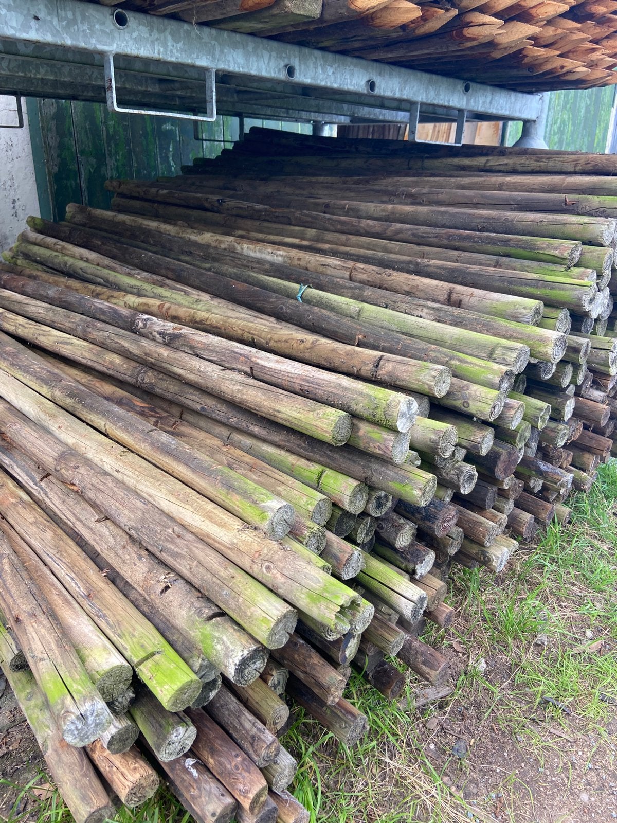 Weidepaaltjes 160-180cm, Tuin en Terras, Palen, Balken en Planken, Ophalen, Zo goed als nieuw, Minder dan 180 cm, Palen