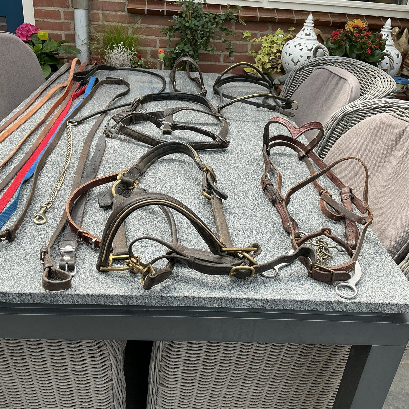 Paardehalsters en riemen voor paarden, Ophalen of Verzenden, Gebruikt, Overige soorten