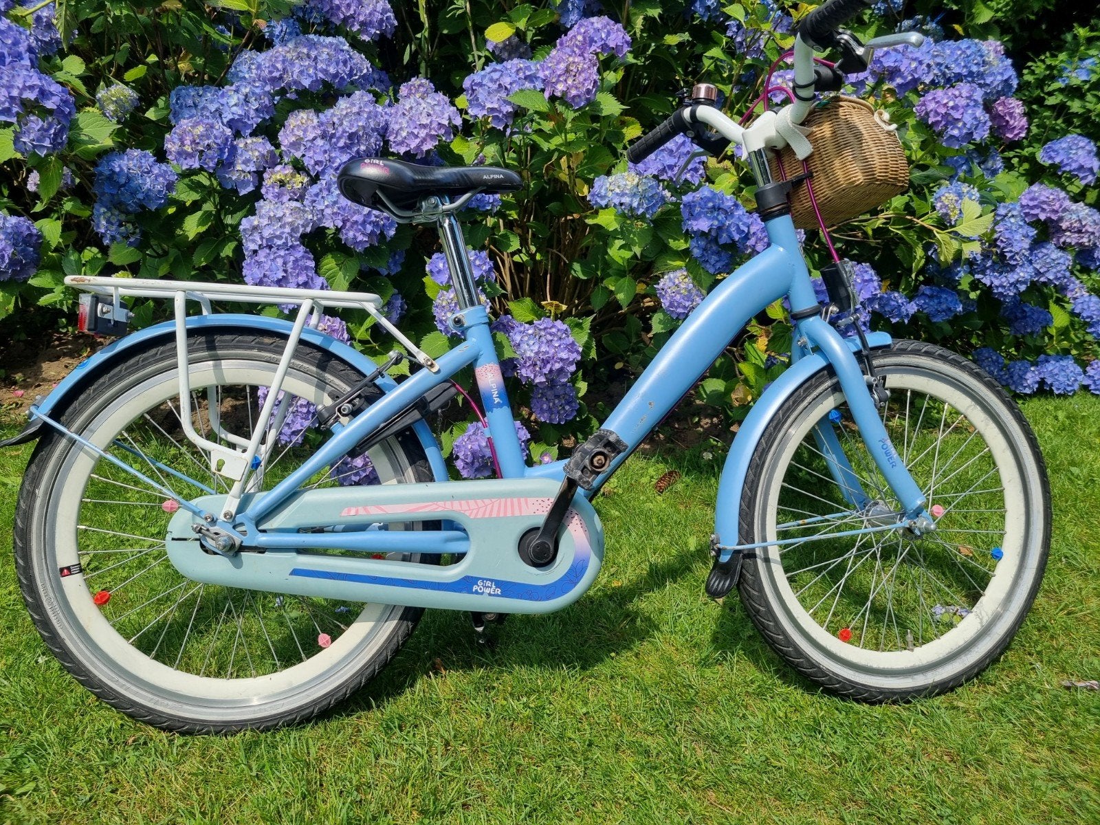 Meisjes fiets Alpina 20 inch, Fietsen en Brommers, Ophalen, Terugtraprem, Gebruikt, Alpina Girlpower