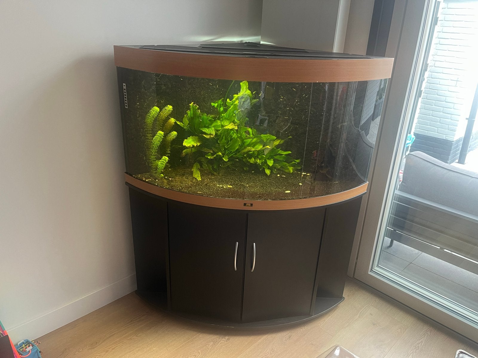 Mooie grote hoek aquarium, Ophalen, Overige typen, Zo goed als nieuw, Inclusief deksel