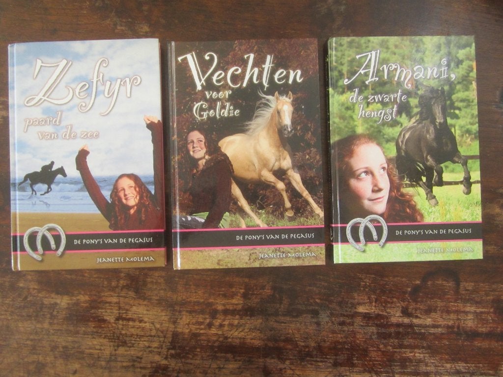 Jeanette Molema  pony's Pegasus 3,7,8 hengst/Goldie/paard ze, Ophalen of Verzenden, Zo goed als nieuw