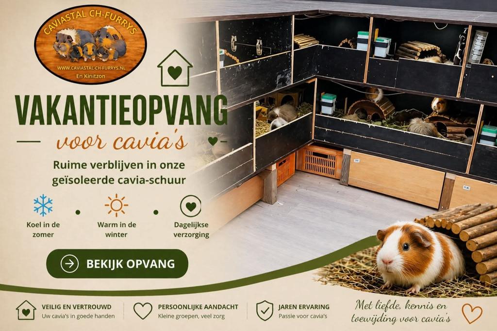 Vakantie opvang Cavia's, Ophalen
