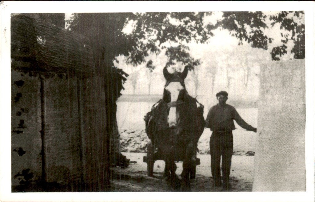 Paard en voerman, Ophalen of Verzenden, 1920 tot 1940, Ongelopen, Drenthe