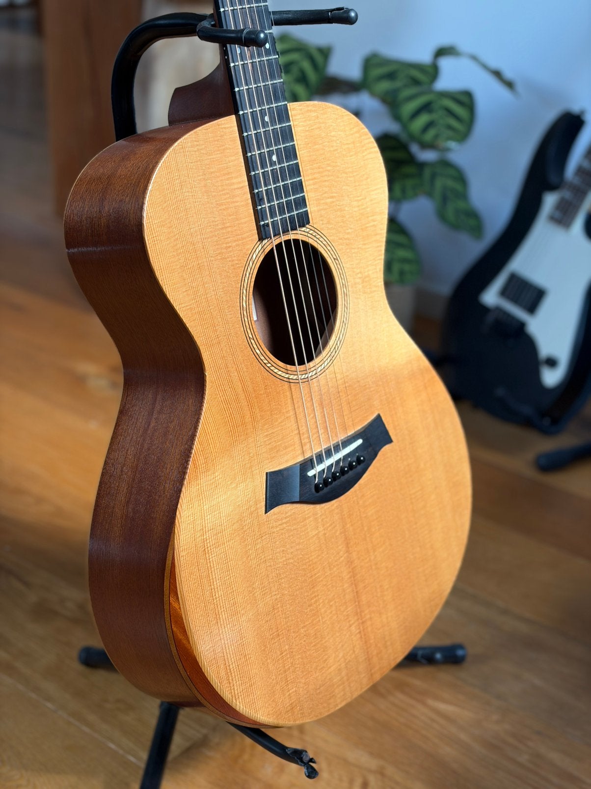 Taylor Academy 12 (met Originele Gigbag), Ophalen, Gebruikt, Western- of Steelstringgitaar
