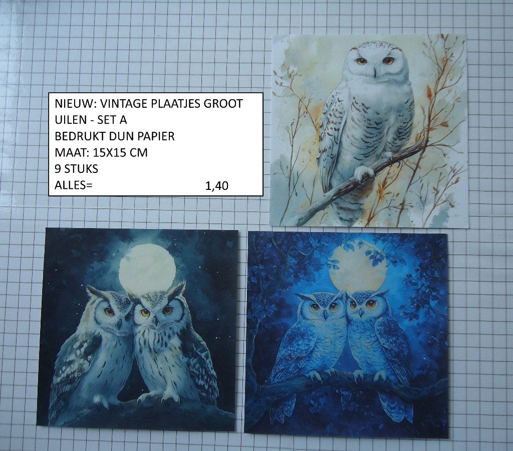 vintage plaatjes groot uilen set A ( 9 st ) alleen verzenden, Ophalen, Nieuw, Dieren, Knipvel