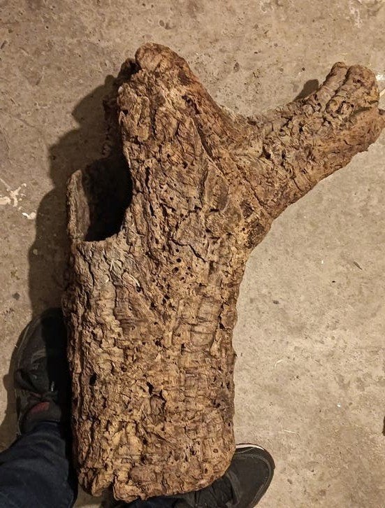 Schuilplaats voor reptielen boomstam van kurk, Ophalen