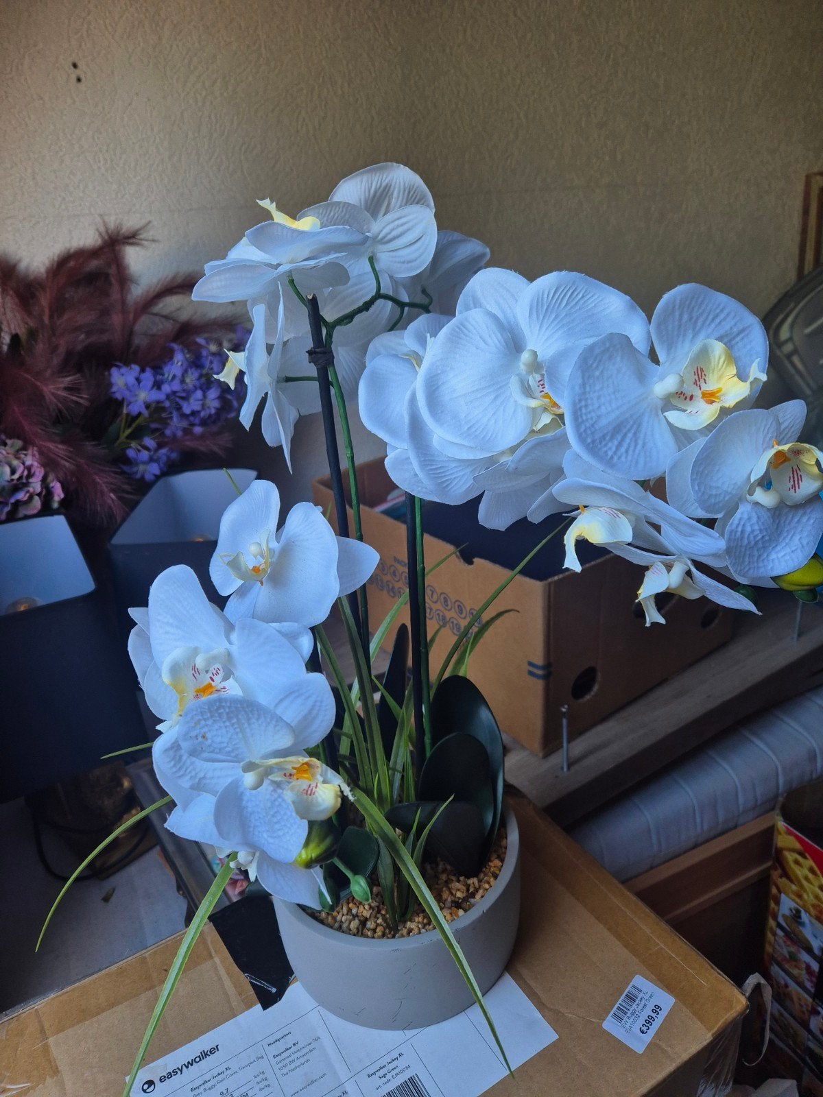 Witte kunstorchidee in pot - Realistische look, Ophalen, Met pot of vaas, Kunstplant, Nieuw