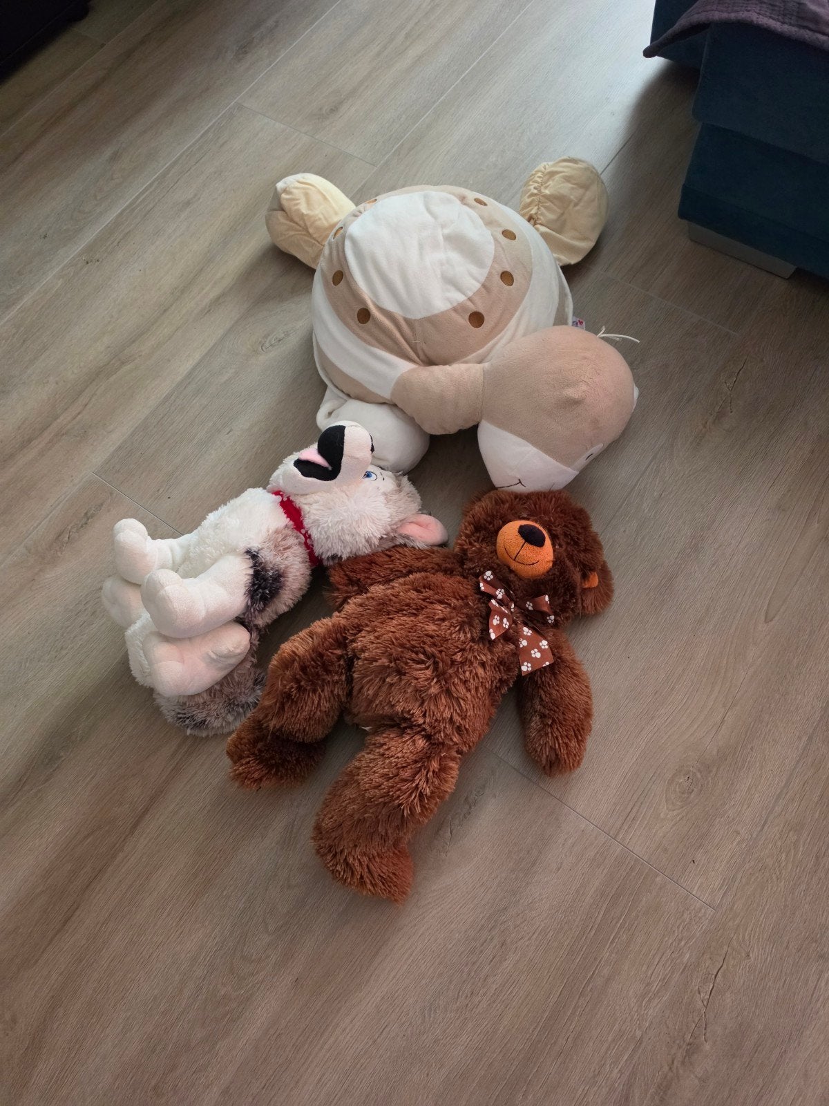 Leuke knuffels: schildpad, hond en beer, Gebruikt, Middelgroot (20 tot 80 cm), Beige, Hond