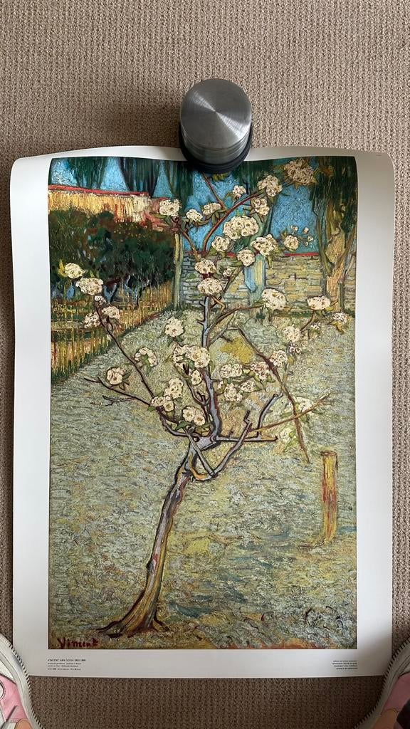 Grote poster Vincent van Gogh, Ophalen of Verzenden, Zo goed als nieuw