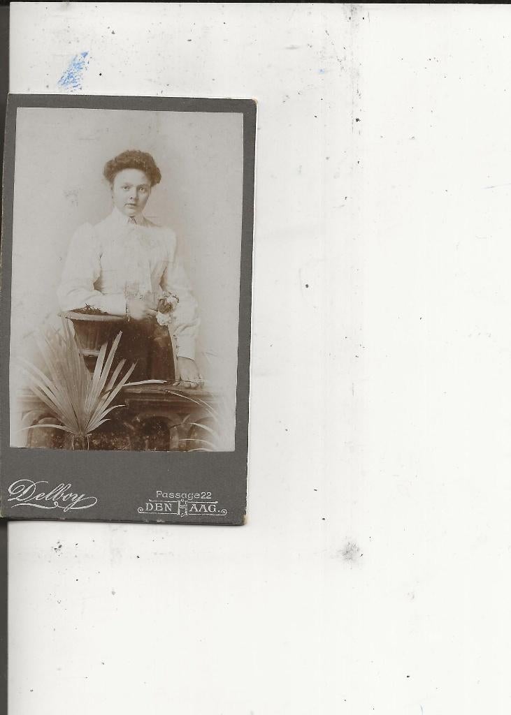 CdV Dame met rozen voor palmplant Delboy, Ophalen of Verzenden, Voor 1920, Ongelopen, Zuid-Holland