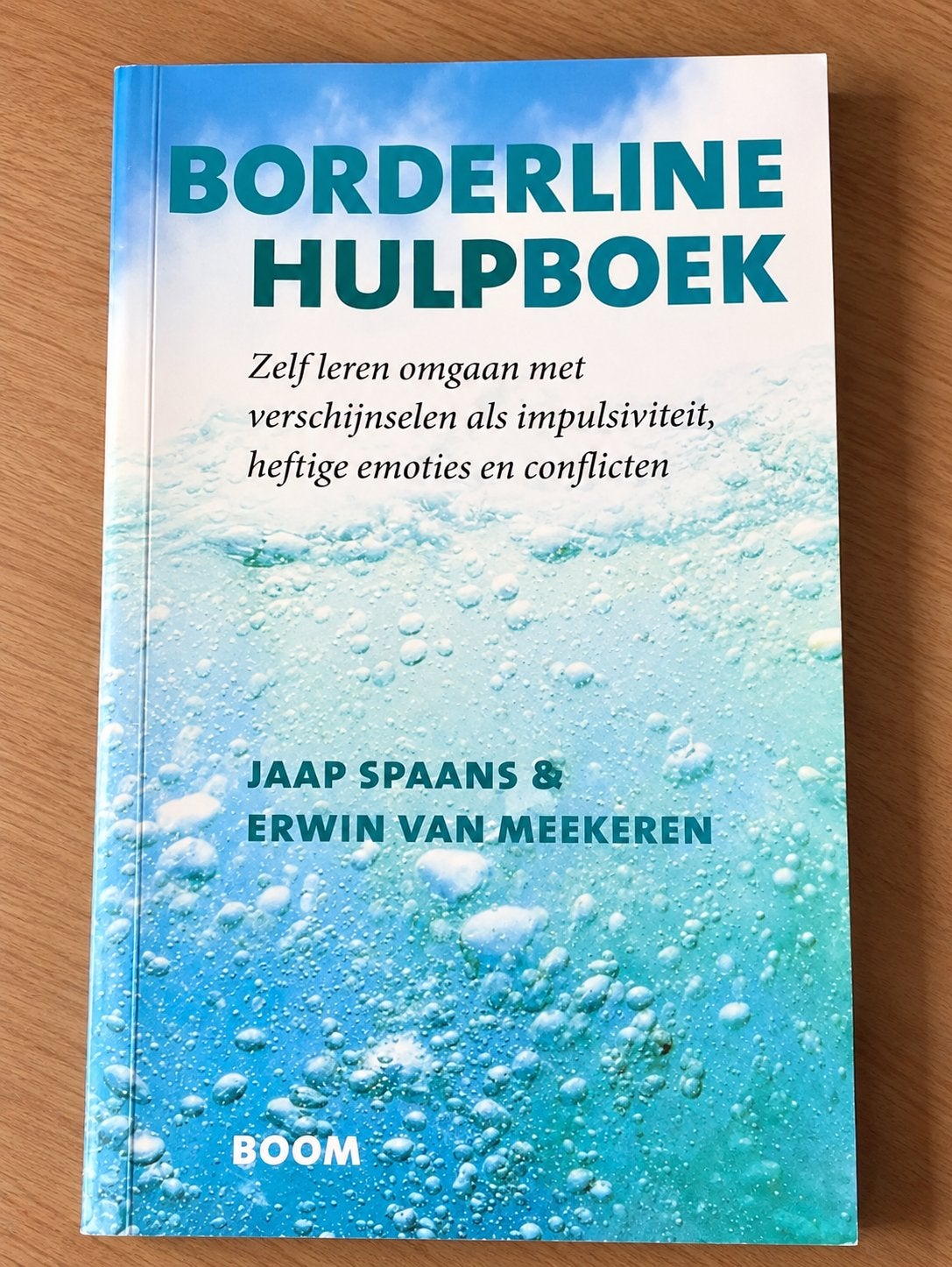 Borderline Hulpboek - Jaap Spaans & Erwin van Meekeren, Boeken, Ophalen of Verzenden, Zo goed als nieuw, Klinische psychologie