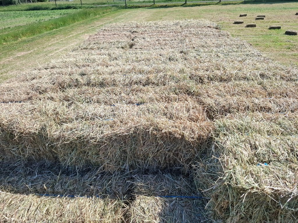 Kleine pakjes hooi, Dieren en Toebehoren, Dierenvoeding, Ophalen, Vee