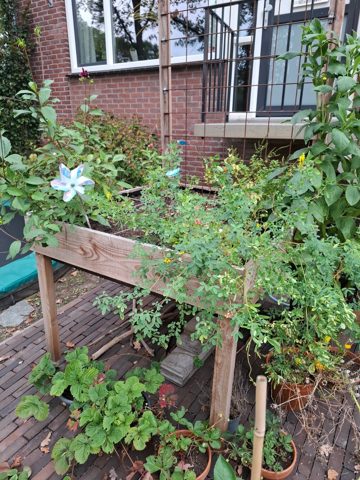 moestuinbak, Tuin en Terras, Ophalen