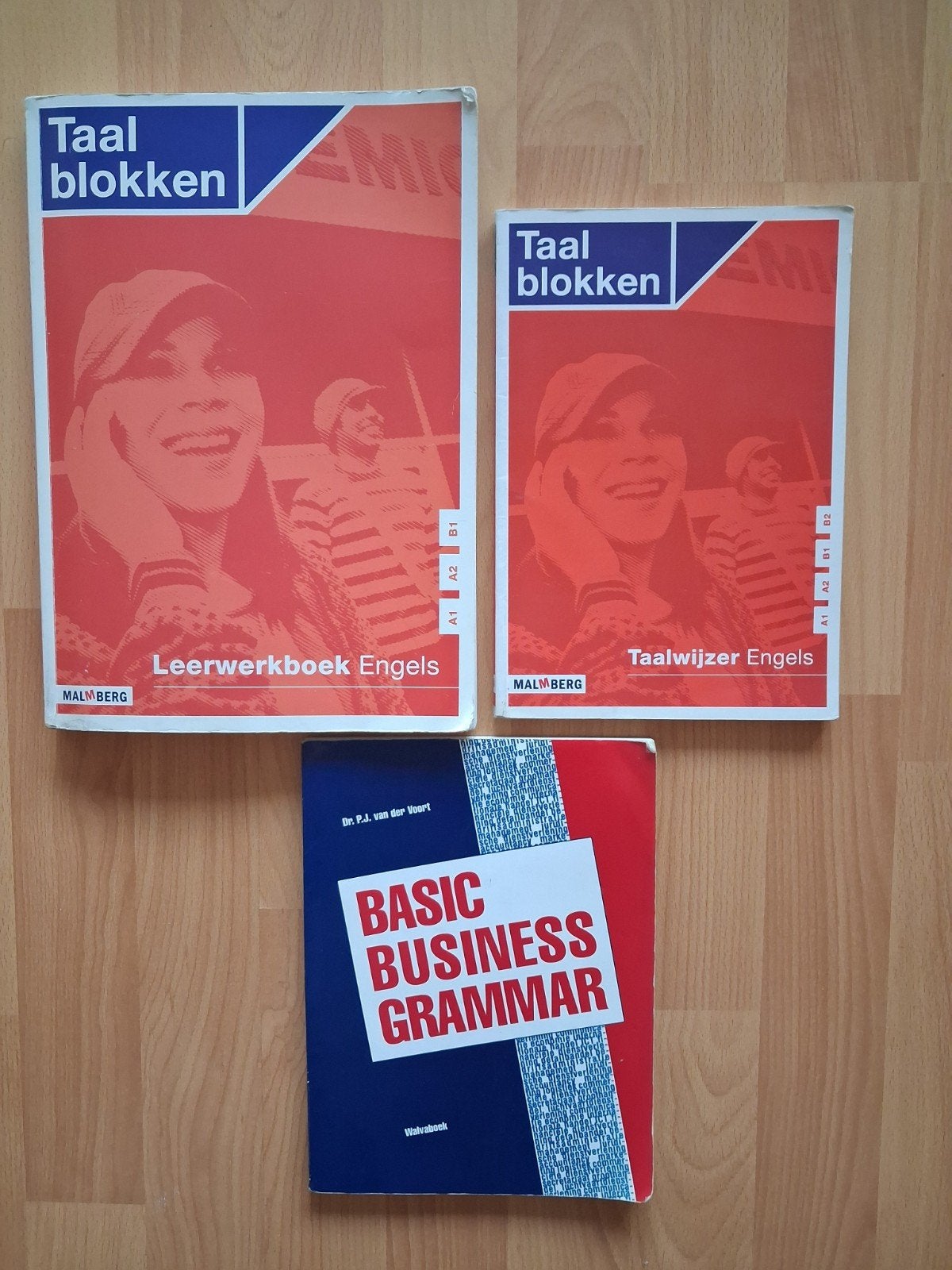 Engelse leerboeken: Taalblokken en Basic Business Grammar, Boeken, Ophalen, Gelezen, Malmberg, P.J. van der Werf, Non-fictie