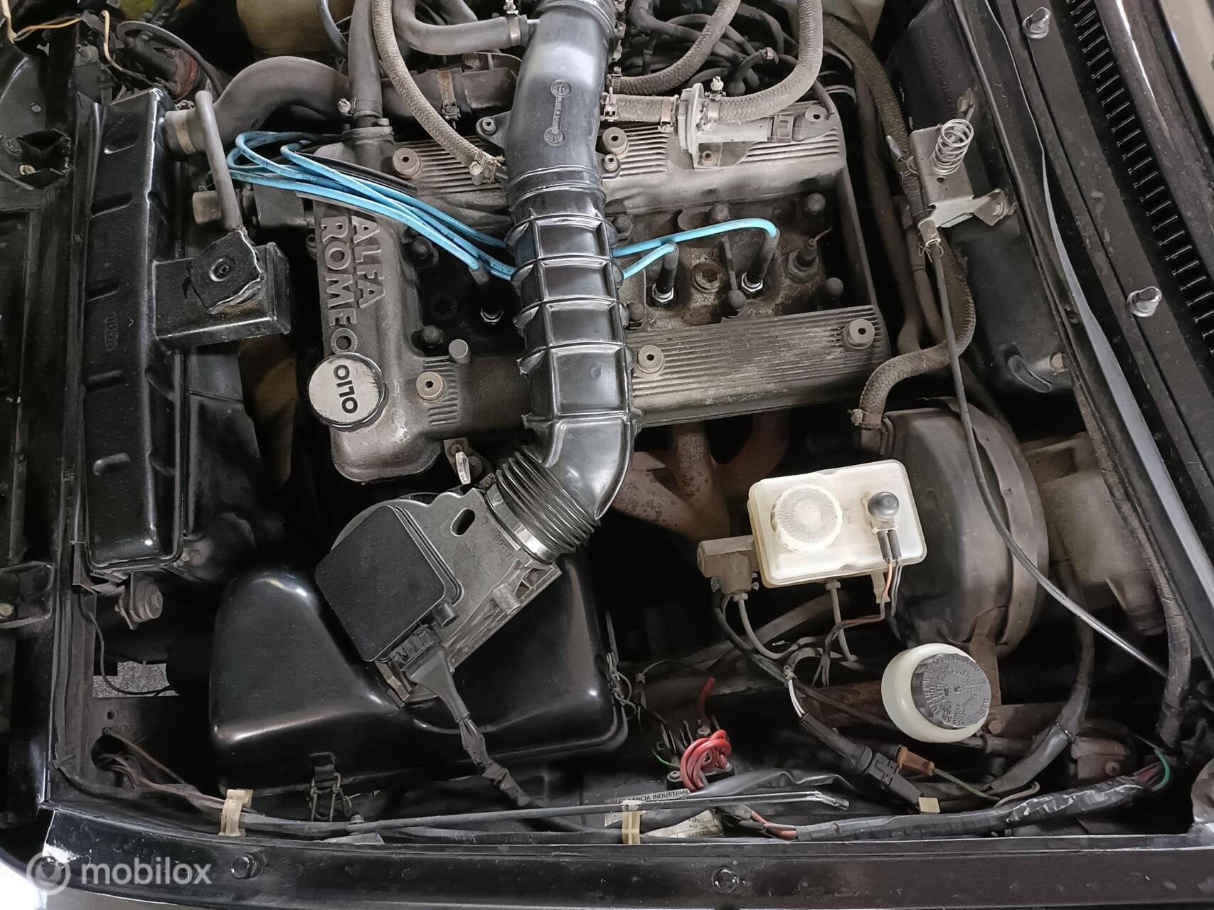 Alfa Romeo Spider Serie 3 "Aerodinamica", foto 11