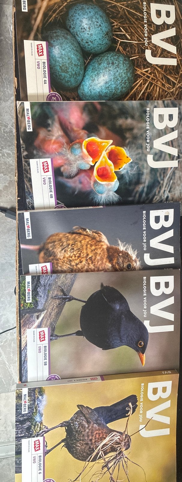 BVJ Biologie voor jou VWO bovenbouw boeken (4A t/m 6), Ophalen of Verzenden, Gelezen, VWO, Biologie