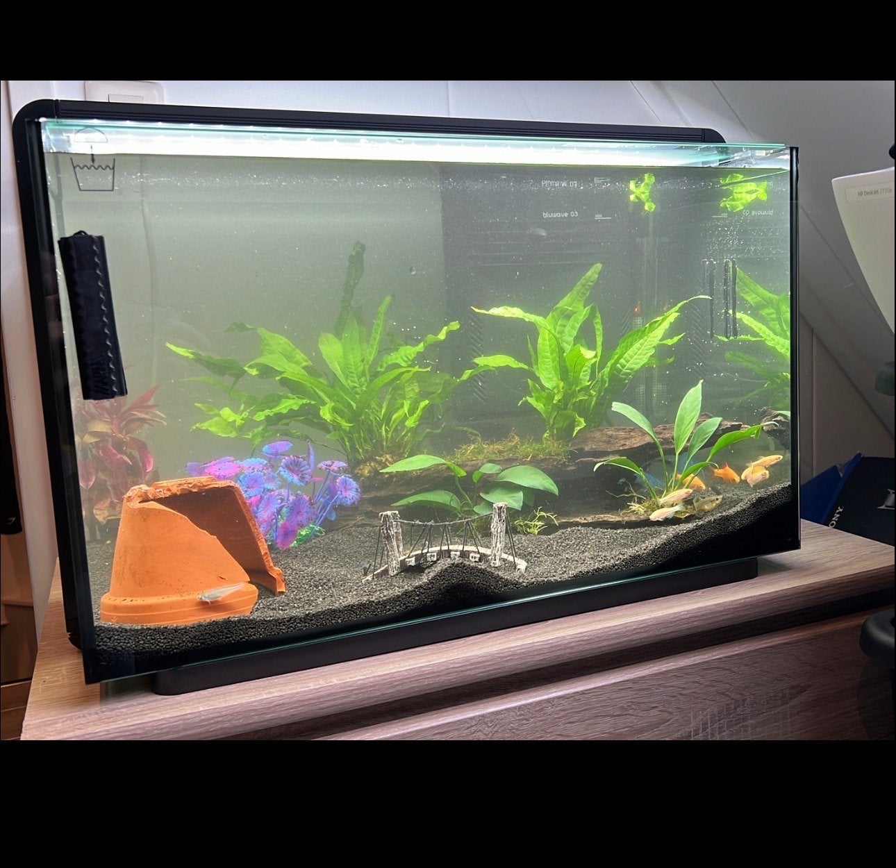Superfish home 85 l, Ophalen, Gebruikt, Leeg aquarium, Superfish