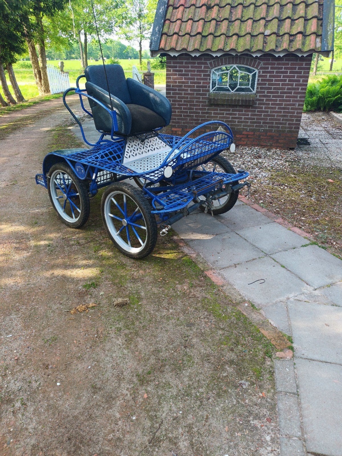 Te koop, Gebruikt, Marathonwagen, Paard of Pony