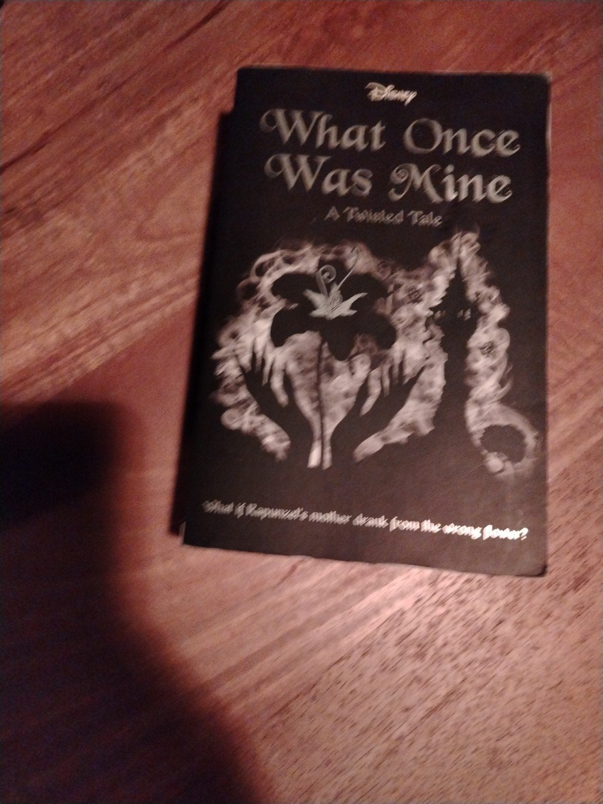 what once was mine, Boeken, Ophalen of Verzenden, Zo goed als nieuw