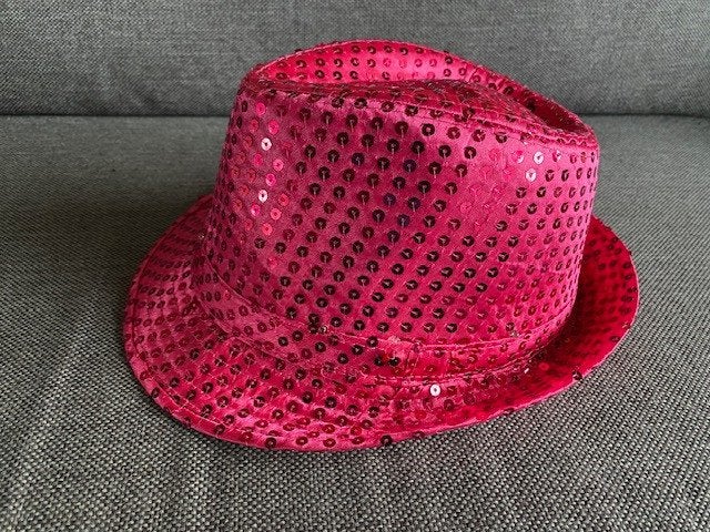 verschillende hoedjes, Ophalen of Verzenden, Gedragen, Carnaval, Accessoires