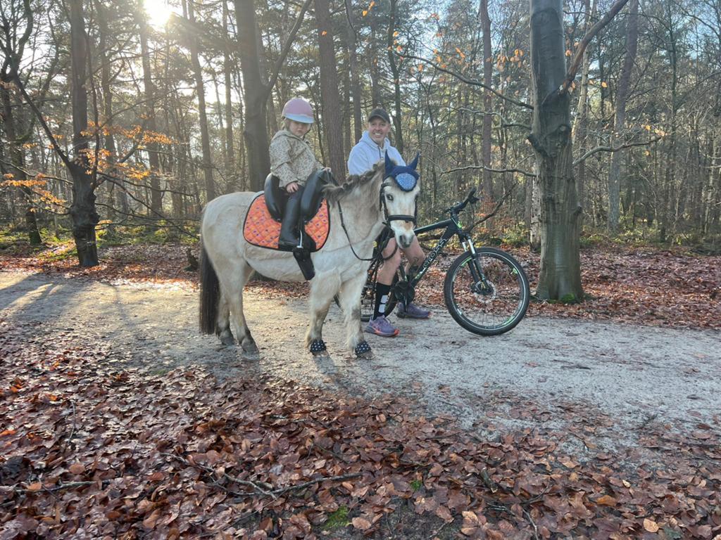 Liefste kinderpony Pikachu, Dieren en Toebehoren, Pony's, Ruin, Gechipt, A pony (tot 1.17m), 11 jaar of ouder