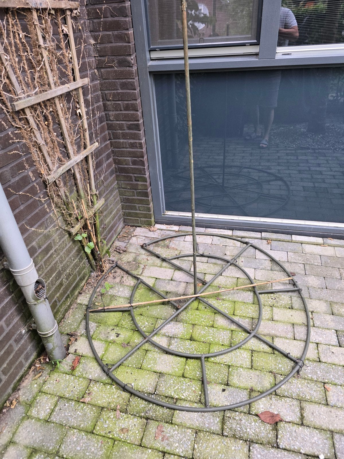 Metalen plantensteun voor klimplanten, Ophalen of Verzenden, Klimplanten, Volle zon