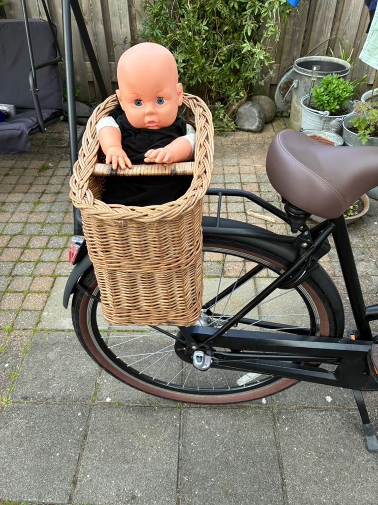 Poppenfiets stoeltje, Ophalen, Gebruikt, Babypop