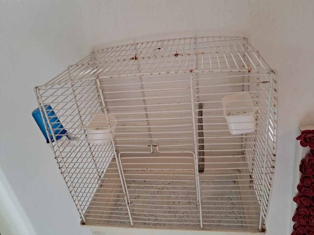 Kleine kooi te koop, conditie is goed., Dieren en Toebehoren, Knaagdieren en Konijnen | Hokken en Kooien, Ophalen, Zo goed als nieuw