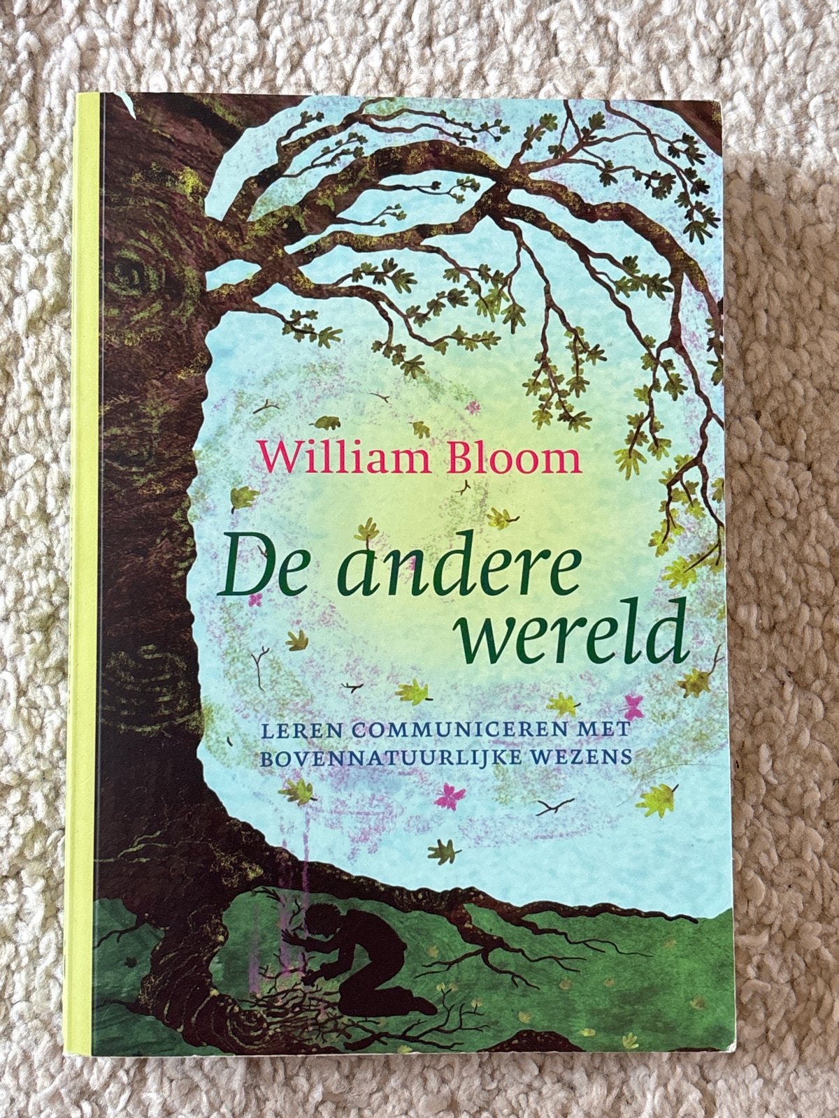 William Bloom - De andere wereld, Ophalen, Zo goed als nieuw, Spiritualiteit algemeen, Achtergrond en Informatie