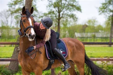 Gezocht: Schoolstage bij manege of paardenstal, Ophalen of Verzenden