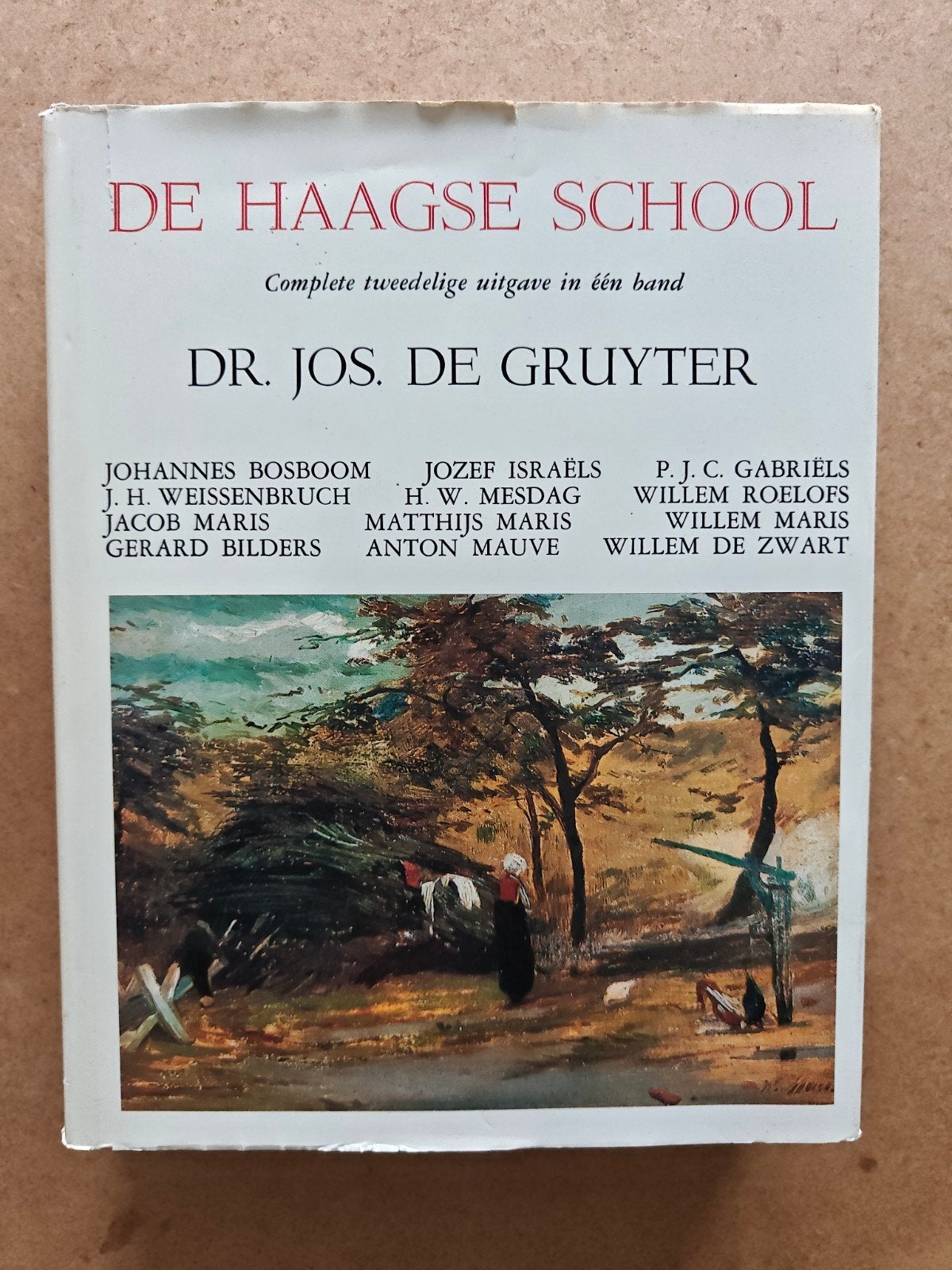 De Haagse School - Dr. Jos de Gruyter, Ophalen of Verzenden, Gelezen, Schilder- en Tekenkunst, Dr. Jos de Gruyter