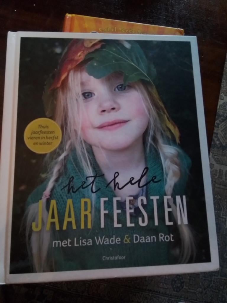 Nieuw boek! Daan Rot - Het hele jaar feesten, Daan Rot; Lisa Wade, Sociale wetenschap, Nieuw, Ophalen of Verzenden