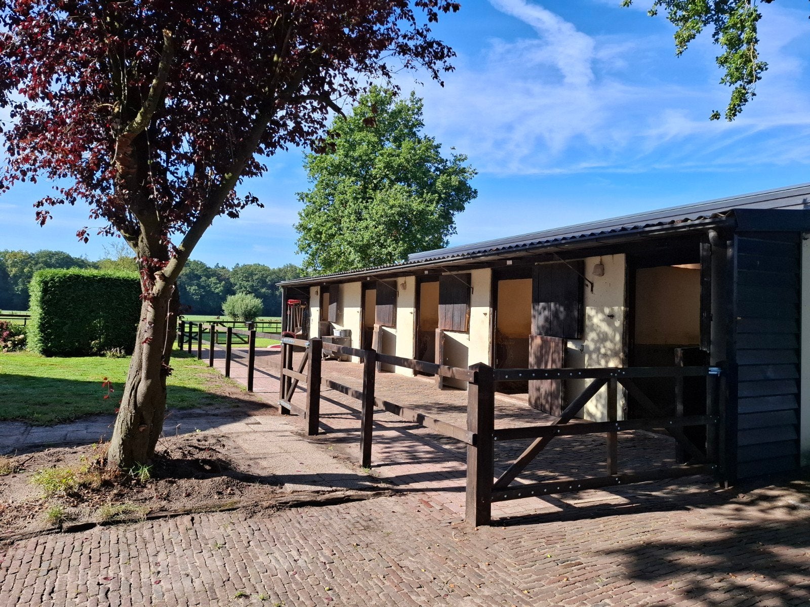 Opfok beschikbaar voor hengsten, Opfok