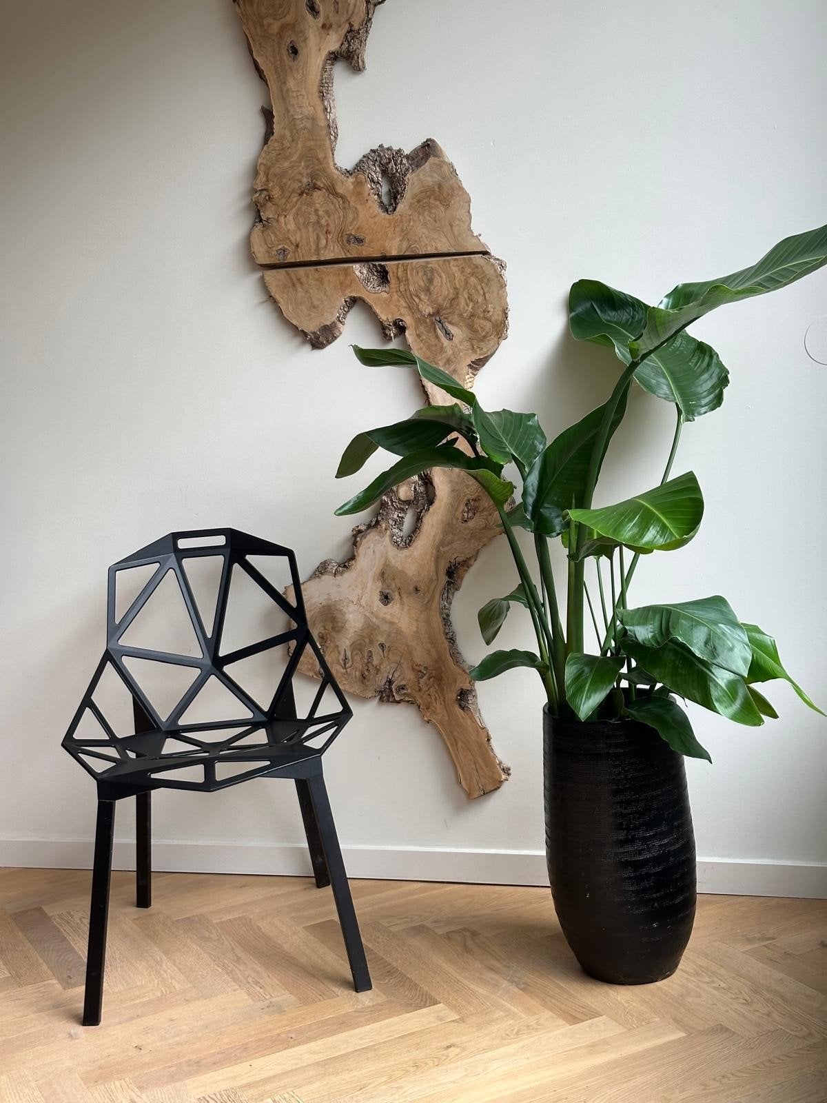 Originele Magis One Chairs, Ophalen, Zwart, Overige materialen, Vijf, Zes of meer stoelen
