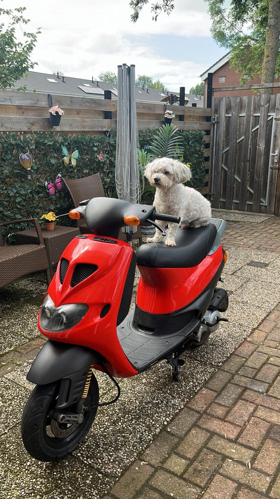 Piaggio SP98 Orgineel, Tweetakt, Overige modellen, Maximaal 45 km/u, Ophalen of Verzenden