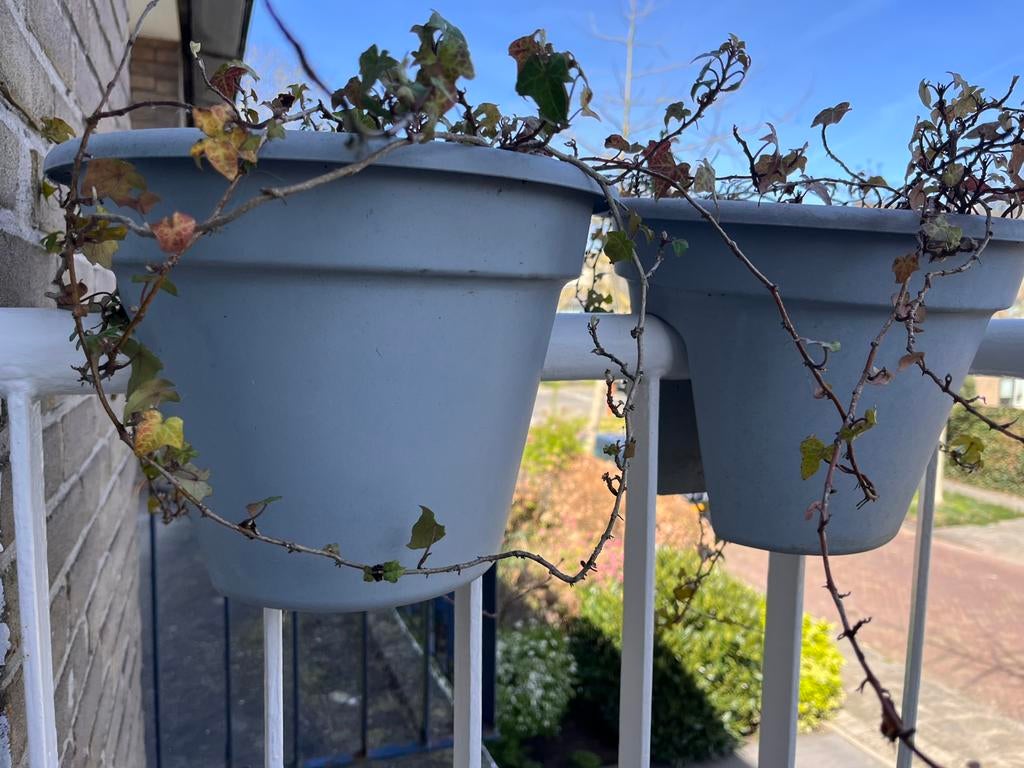 4 balkon bakken | plantenbakken | elho? | bloempot blauw, Ophalen, Kunststof, Minder dan 30 cm, Balkon
